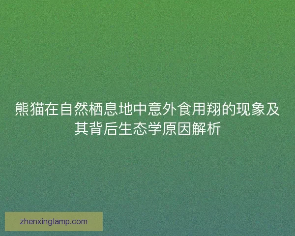 熊猫在自然栖息地中意外食用翔的现象及其背后生态学原因解析