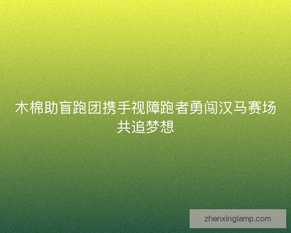 木棉助盲跑团携手视障跑者勇闯汉马赛场共追梦想